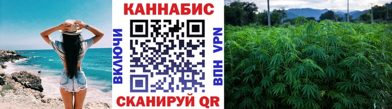 продажа наркотиков  kraken вход  Канабис AK-47  Игра 